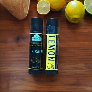Sanctuary Black and Yellow Lip Balm